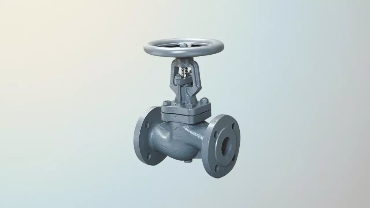 Globe Valves